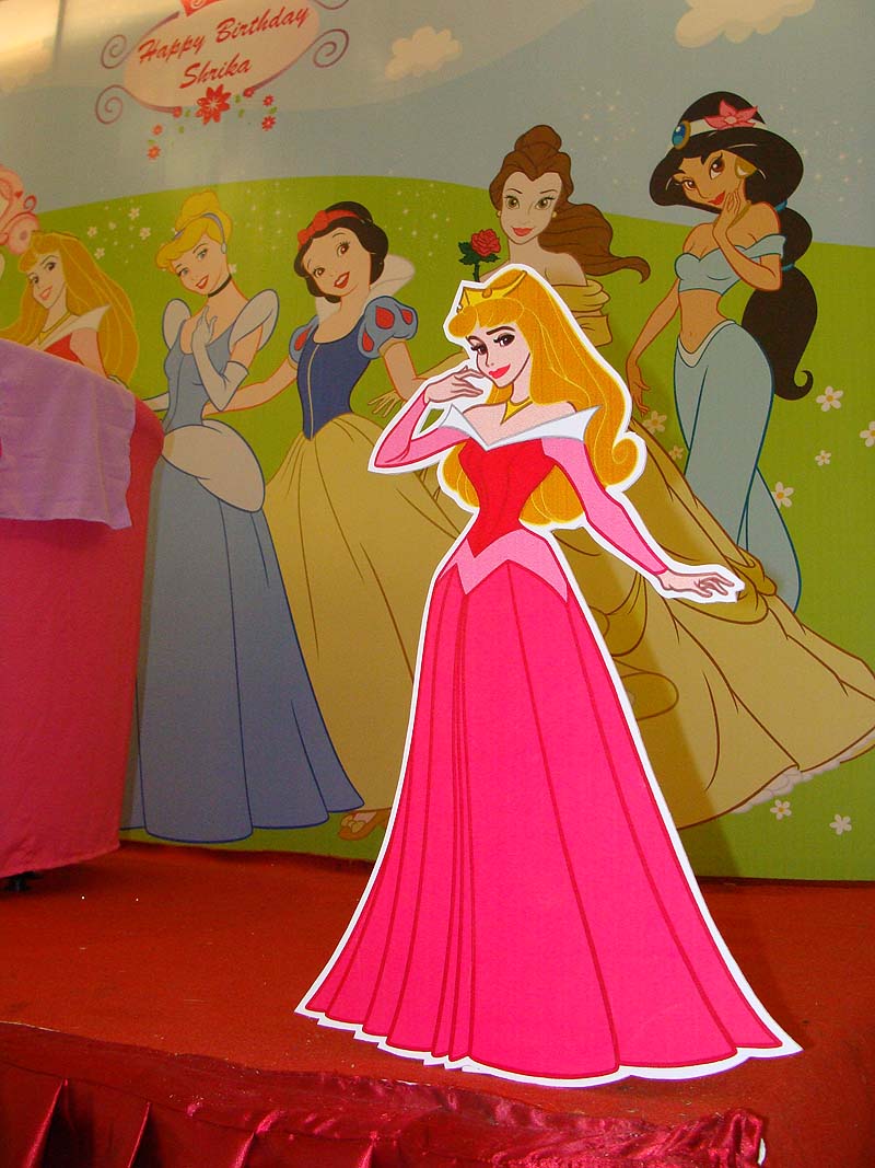 Princess Theme Birthday Party Decoration Supplies party kits