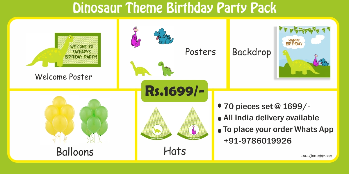 Dino Theme Supplies | Dinosaur Party Decorations party kits