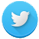 Share on Twitter