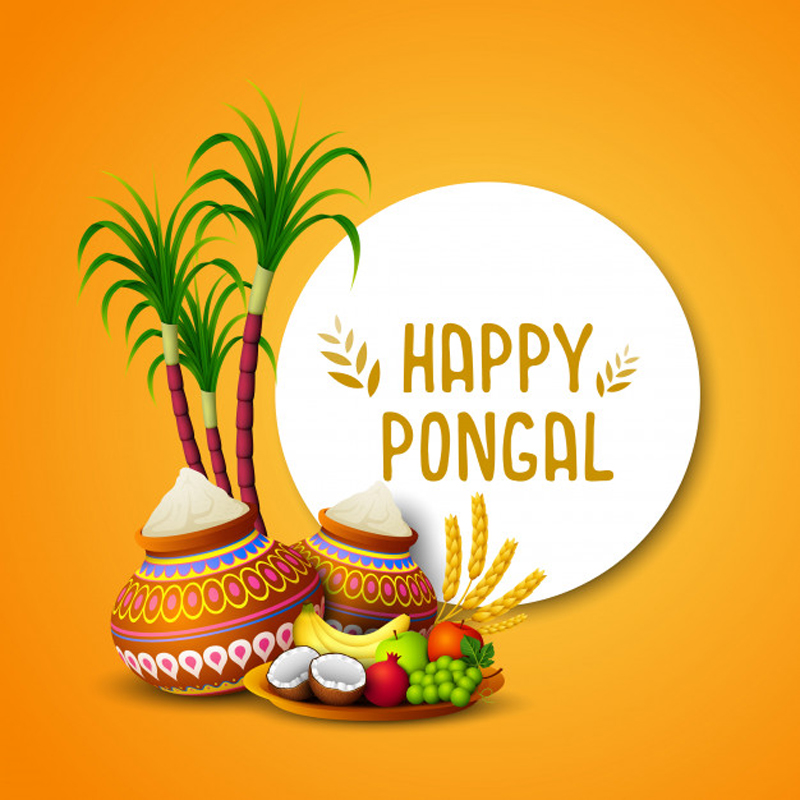 Pongal Invitation Templates | Onvacationswall.com