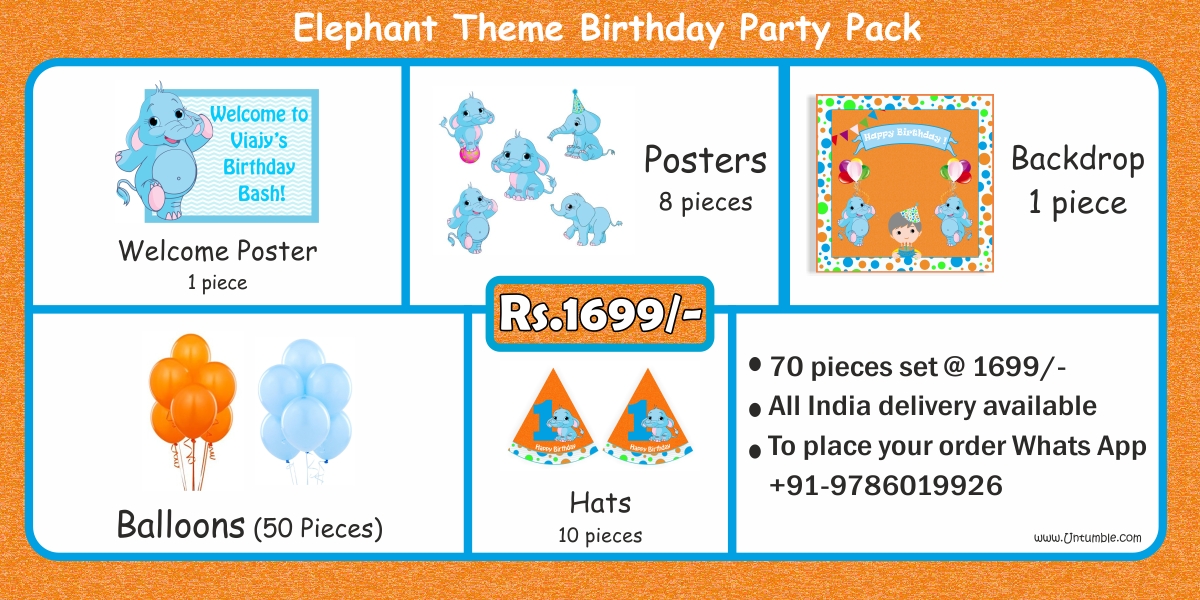 Elephant Theme Birthday Party Supplies party kits