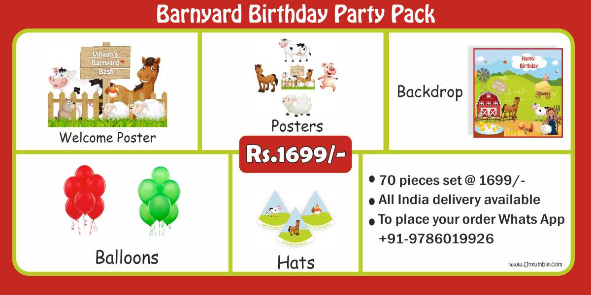 Barnyard / Farm Theme 1st Birthday party decoration party kits