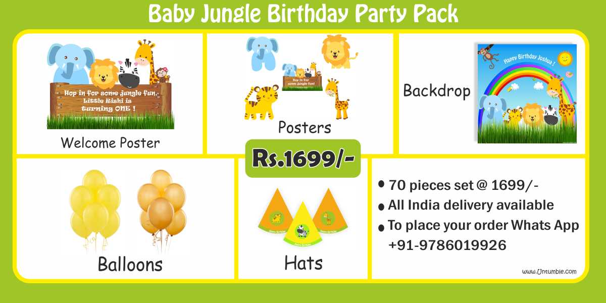 Jungle Theme Birthday Party Decoration & Supplies party kits